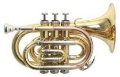 Roy Benson PT-101 Bb Pocket-trumpet