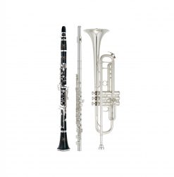 Blåseinstrumenter