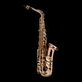 Wessex Alto Saxophone – SAX200