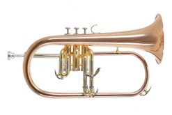 Roy Benson FH-302G Flygelhorn