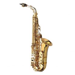 Yanagisawa A-WO30 Elite Altsaxofon