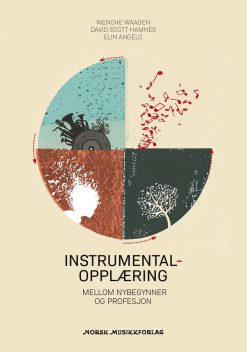 Instrumentalopplæring - Mellom nybegynner og profesjon